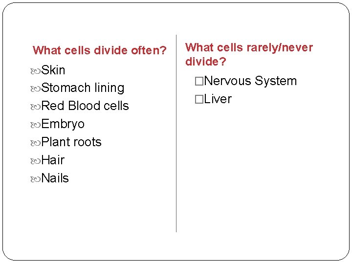 What cells divide often? Skin Stomach lining Red Blood cells Embryo Plant roots Hair