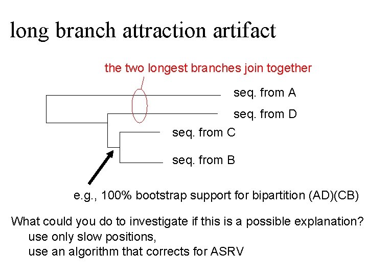 long branch attraction artifact the two longest branches join together seq. from A seq.