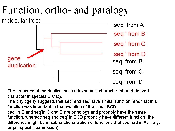 Function, ortho- and paralogy molecular tree: seq. from A seq. ’ from B seq.