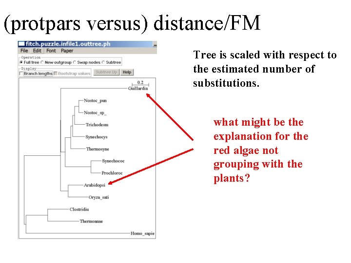 (protpars versus) distance/FM Tree is scaled with respect to the estimated number of substitutions.