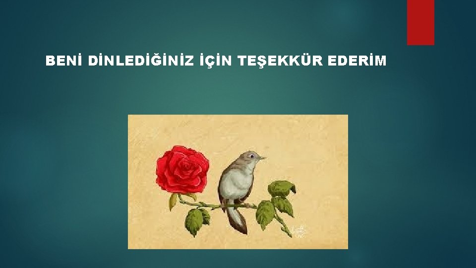 BENİ DİNLEDİĞİNİZ İÇİN TEŞEKKÜR EDERİM 