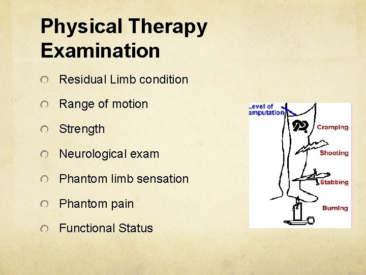 Physical Therapy Examination Residual Limb condition Range of motion Strength Neurological exam Phantom limb