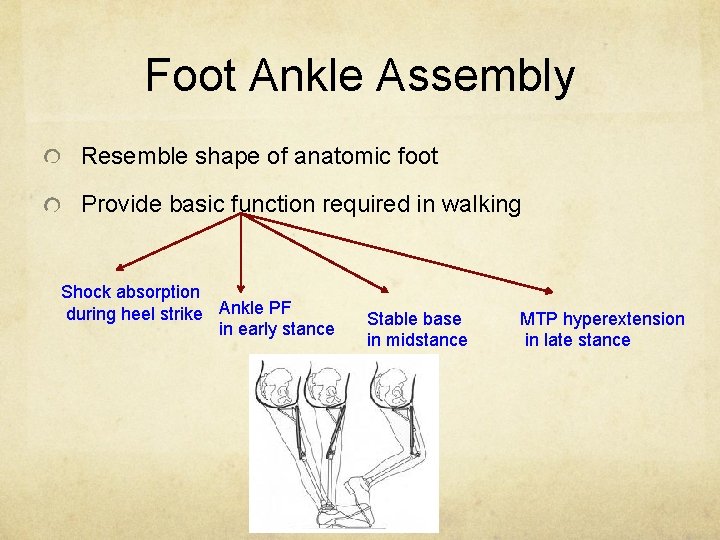 Foot Ankle Assembly Resemble shape of anatomic foot Provide basic function required in walking