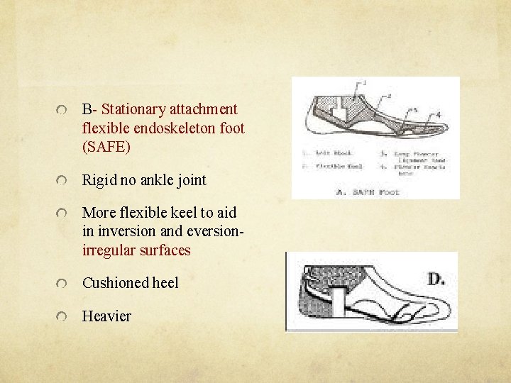 B- Stationary attachment flexible endoskeleton foot (SAFE) Rigid no ankle joint More flexible keel