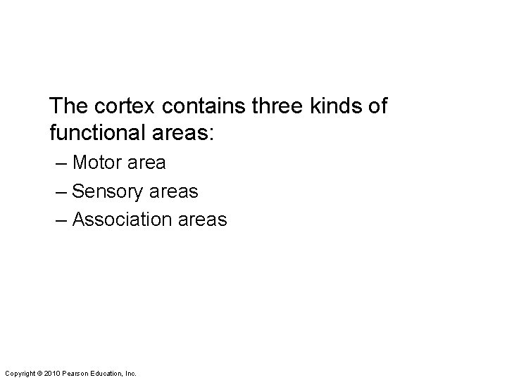 The cortex contains three kinds of functional areas: – Motor area – Sensory areas