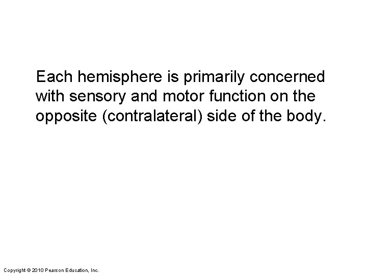 Each hemisphere is primarily concerned with sensory and motor function on the opposite (contralateral)