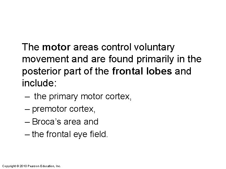 The motor areas control voluntary movement and are found primarily in the posterior part
