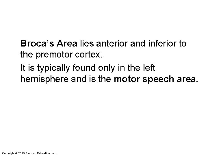 Broca’s Area lies anterior and inferior to the premotor cortex. It is typically found