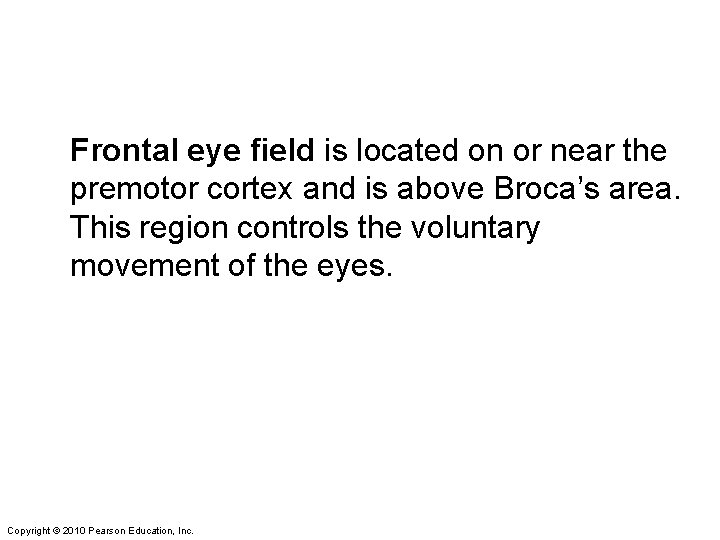 Frontal eye field is located on or near the premotor cortex and is above