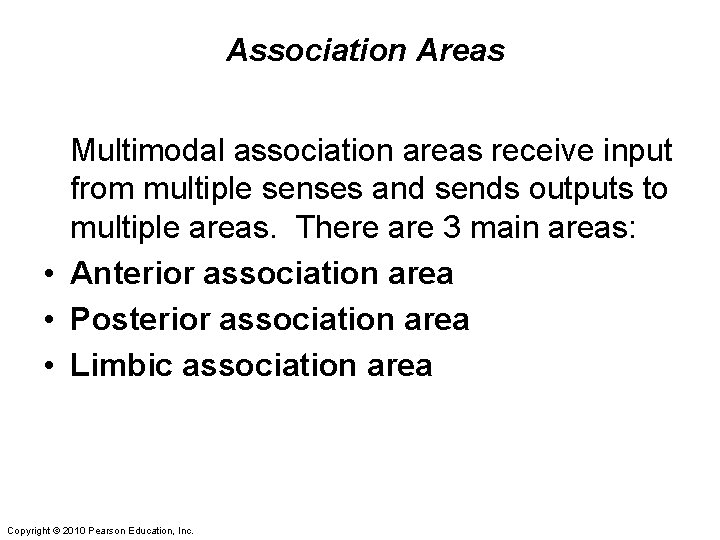 Association Areas Multimodal association areas receive input from multiple senses and sends outputs to
