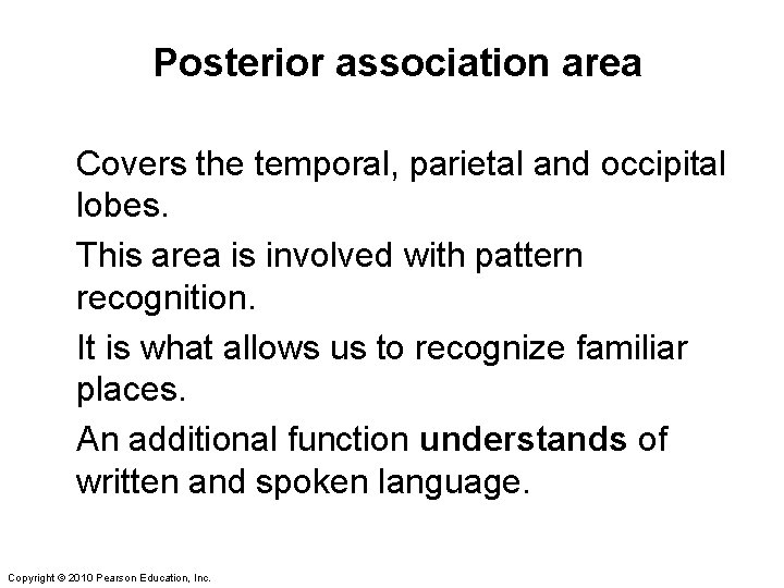 Posterior association area Covers the temporal, parietal and occipital lobes. This area is involved