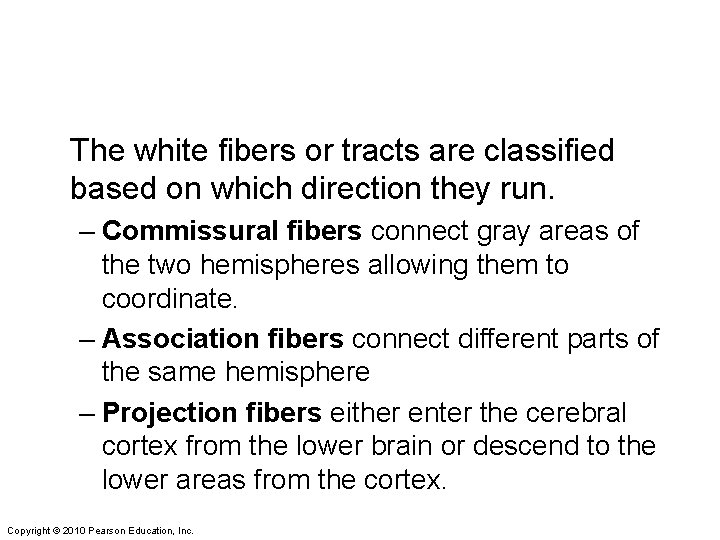 The white fibers or tracts are classified based on which direction they run. –