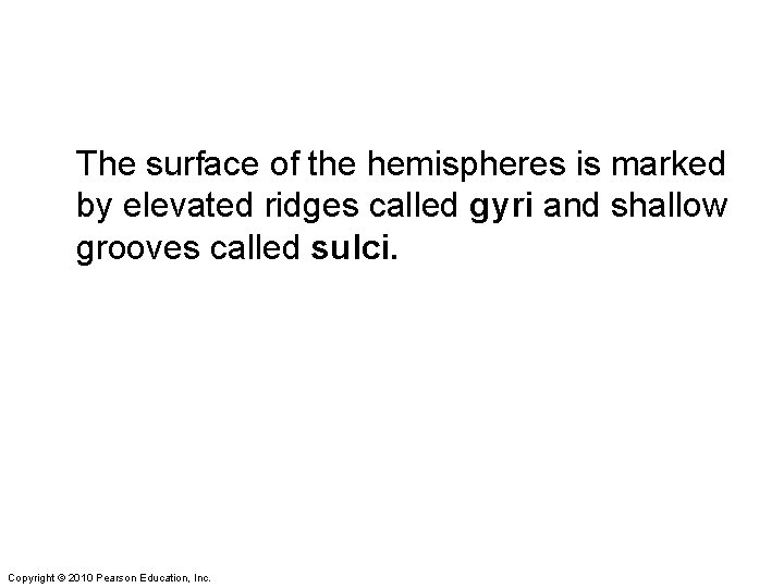 The surface of the hemispheres is marked by elevated ridges called gyri and shallow