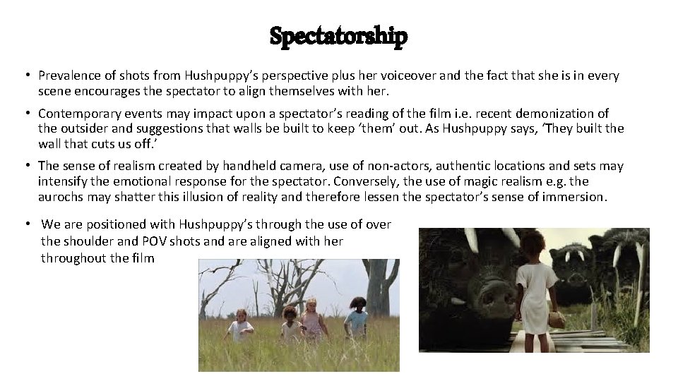 Spectatorship • Prevalence of shots from Hushpuppy’s perspective plus her voiceover and the fact