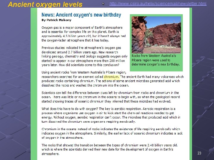 Ancient oxygen levels http: //www. csiro. au/helix/sciencemail/newsletter. html 12 BIOLOGY, CH 10 23 