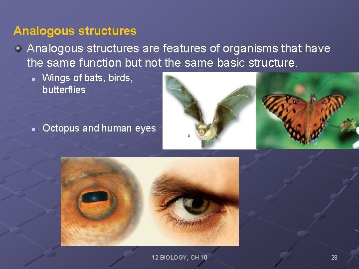 Analogous structures are features of organisms that have the same function but not the