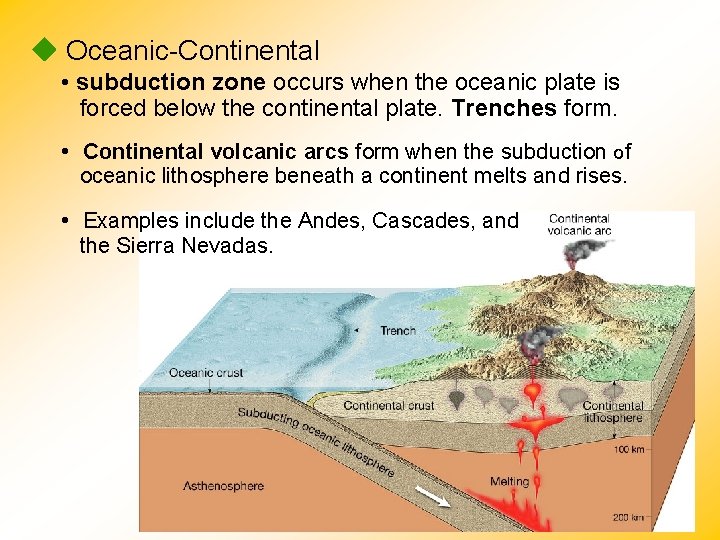  Oceanic-Continental • subduction zone occurs when the oceanic plate is forced below the