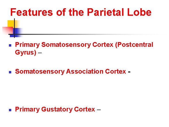 Features of the Parietal Lobe n Primary Somatosensory Cortex (Postcentral Gyrus) – n Somatosensory