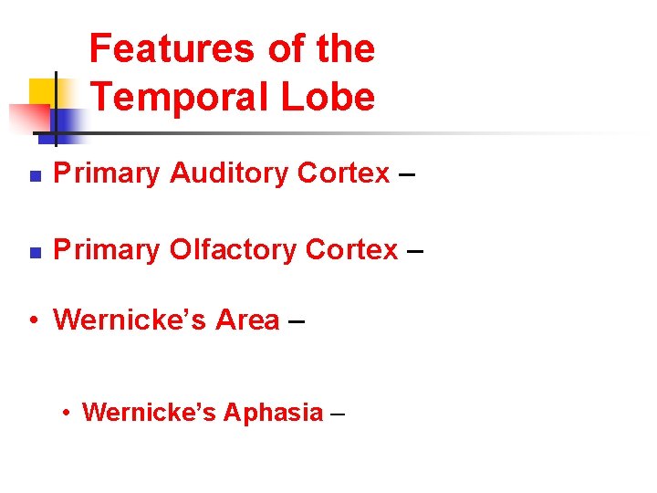 Features of the Temporal Lobe n Primary Auditory Cortex – n Primary Olfactory Cortex