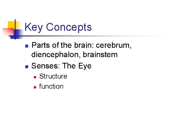 Key Concepts n n Parts of the brain: cerebrum, diencephalon, brainstem Senses: The Eye