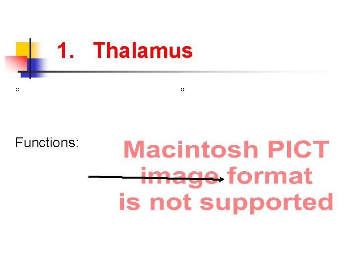 1. Thalamus “ Functions: “ 