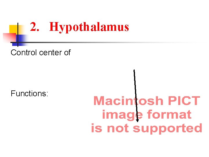 2. Hypothalamus Control center of Functions: 
