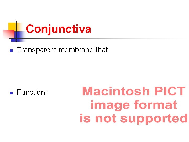 Conjunctiva n Transparent membrane that: n Function: 