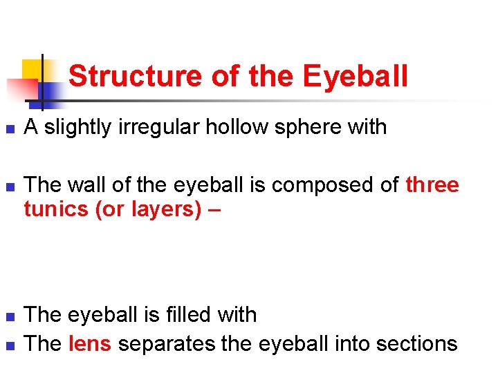 Structure of the Eyeball n n A slightly irregular hollow sphere with The wall