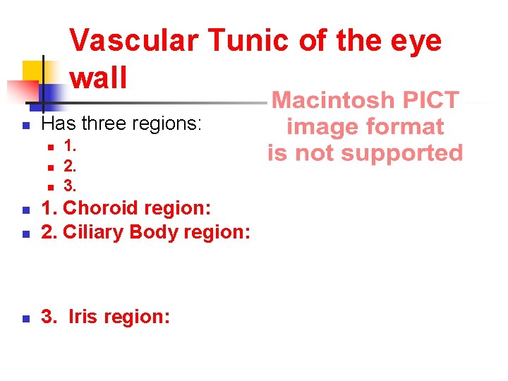 Vascular Tunic of the eye wall n Has three regions: n n n 1.