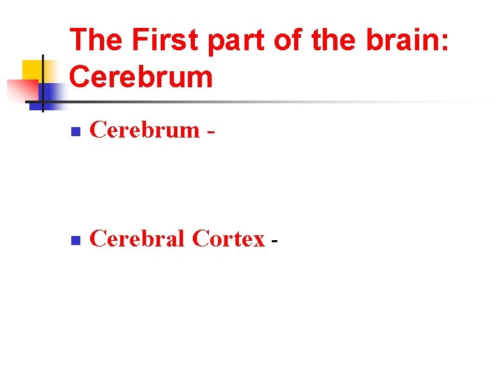 The First part of the brain: Cerebrum n Cerebrum - n Cerebral Cortex -