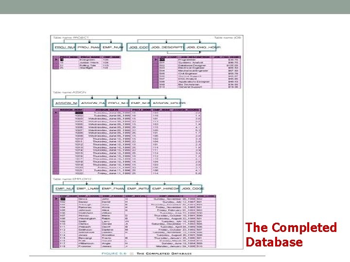 The Completed Database The Completed Database