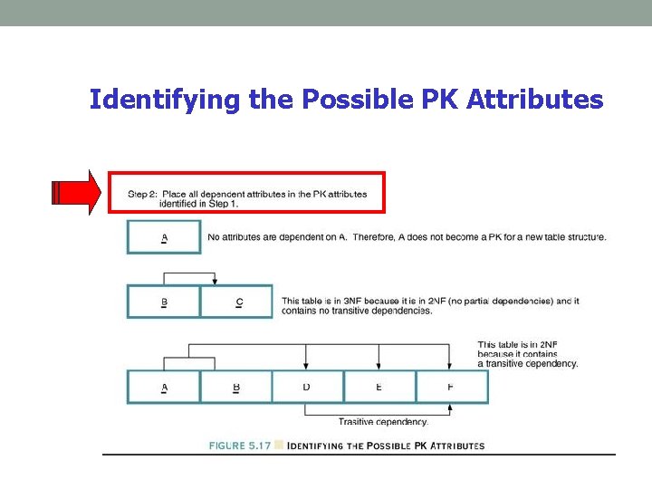 Identifying the Possible PK Attributes Identifying the Possible PK Attributes