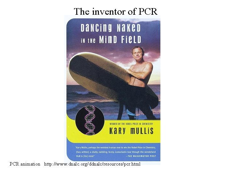 The inventor of PCR animation http: //www. dnalc. org/ddnalc/resources/pcr. html 