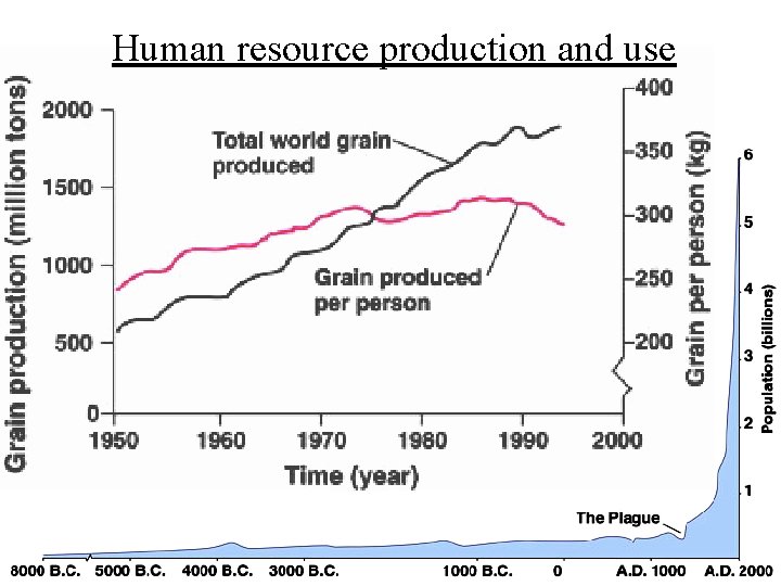 Human resource production and use 