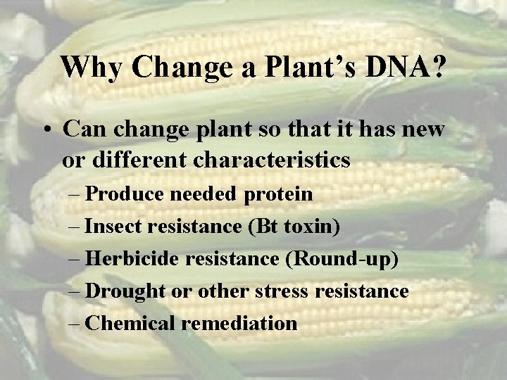 Why Change a Plant’s DNA? • Can change plant so that it has new