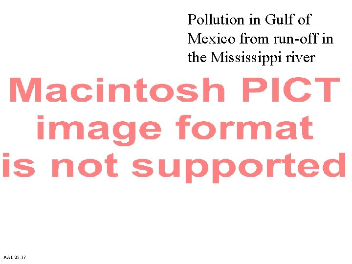Pollution in Gulf of Mexico from run-off in the Mississippi river AAL 25. 17