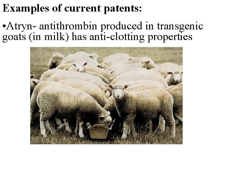 Examples of current patents: • Atryn- antithrombin produced in transgenic goats (in milk) has