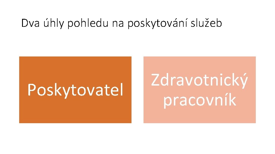 Dva úhly pohledu na poskytování služeb Poskytovatel Zdravotnický pracovník 