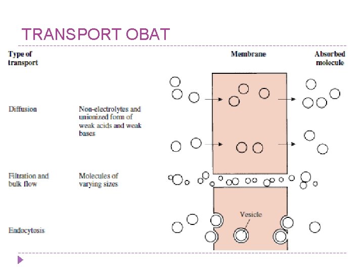 TRANSPORT OBAT 