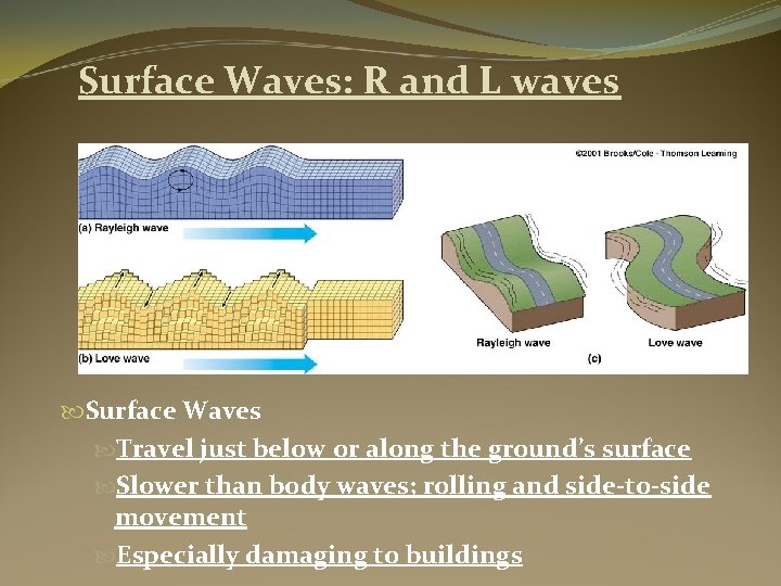 Surface Waves: R and L waves Surface Waves Travel just below or along the