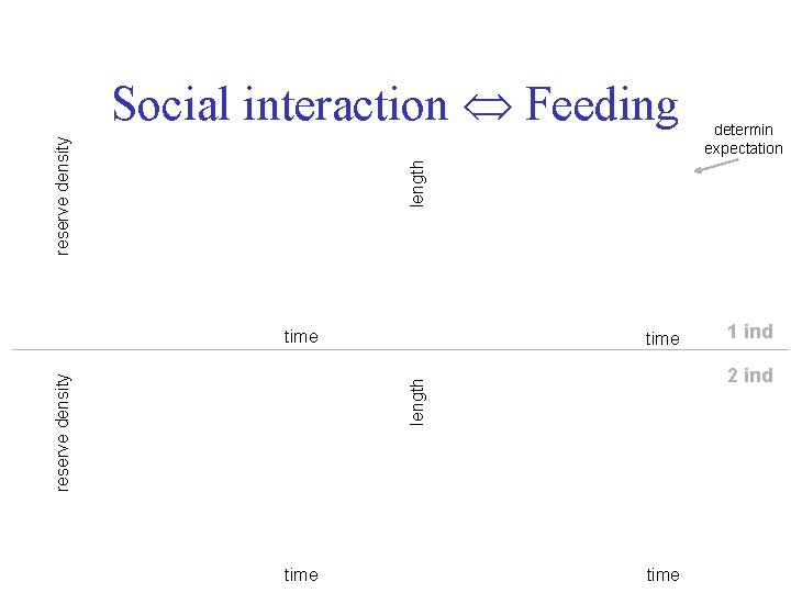 determin expectation length reserve density Social interaction Feeding time 1 ind 2 ind length