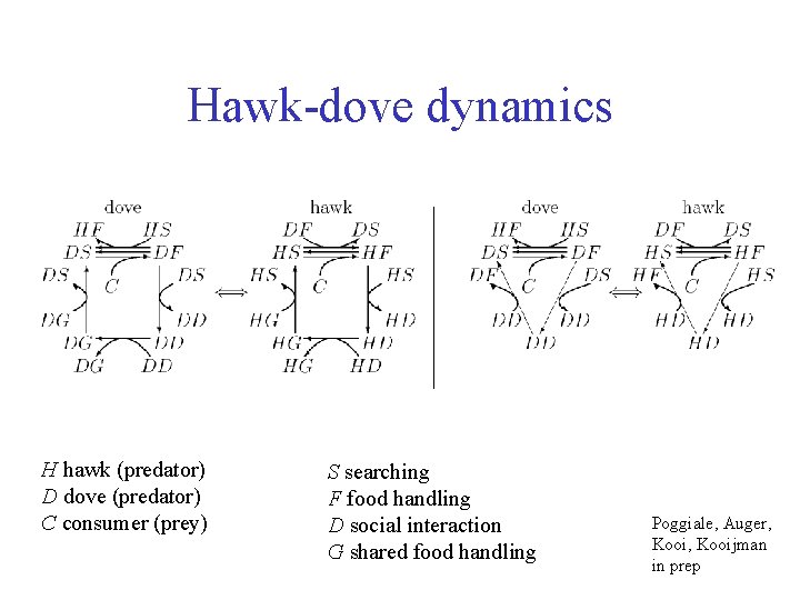 Hawk-dove dynamics H hawk (predator) D dove (predator) C consumer (prey) S searching F