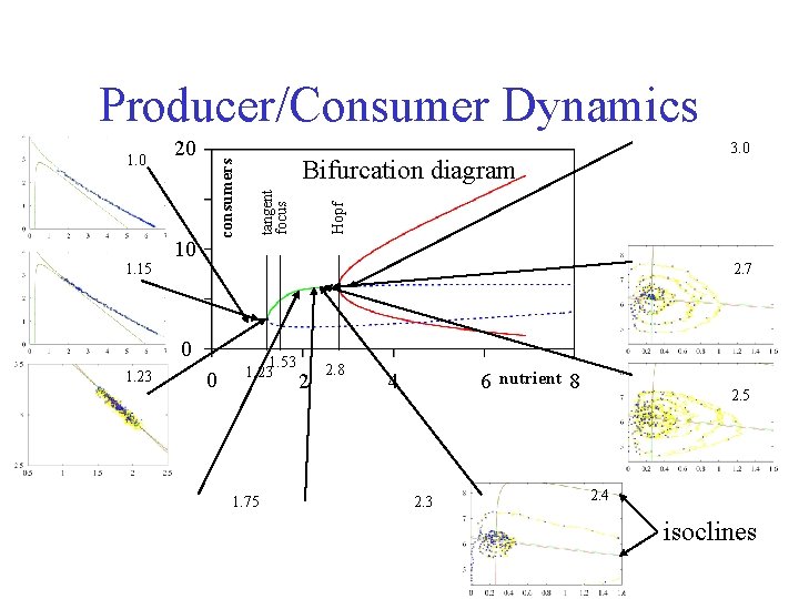 10 3. 0 Bifurcation diagram Hopf 20 tangent focus 1. 0 consumers Producer/Consumer Dynamics