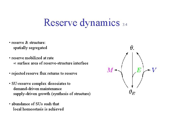 Reserve dynamics • reserve & structure: spatially segregated • reserve mobilized at rate surface