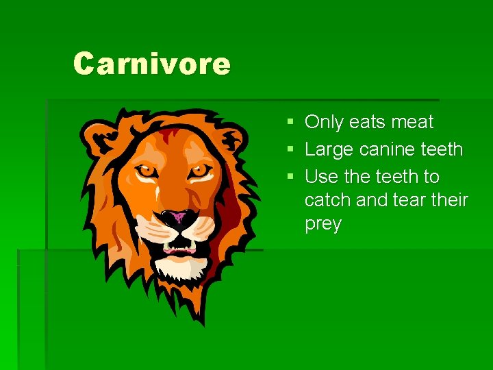 Carnivore § § § Only eats meat Large canine teeth Use the teeth to