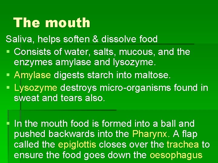 The mouth Saliva, helps soften & dissolve food § Consists of water, salts, mucous,