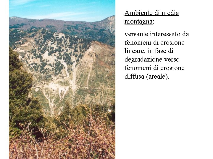 Ambiente di media montagna: versante interessato da fenomeni di erosione lineare, in fase di