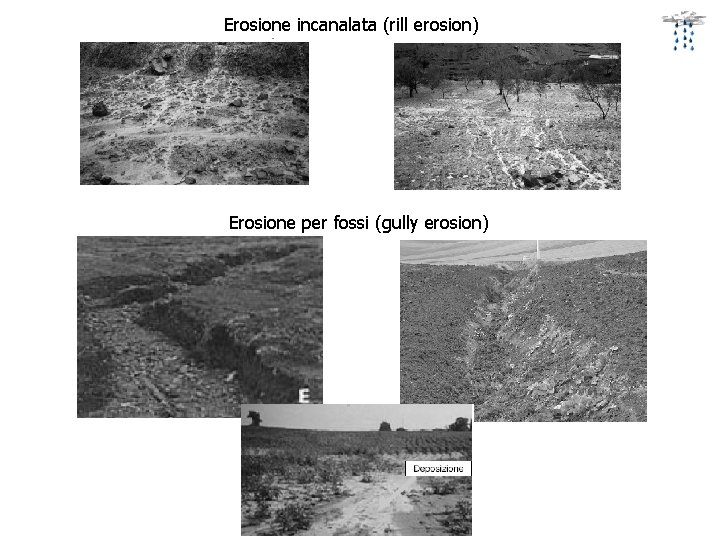 Erosione incanalata (rill erosion) Erosione per fossi (gully erosion) 