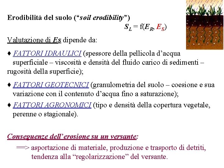 Erodibilità del suolo (“soil erodibility”) SL = f(ER, ES) Valutazione di ES dipende da: