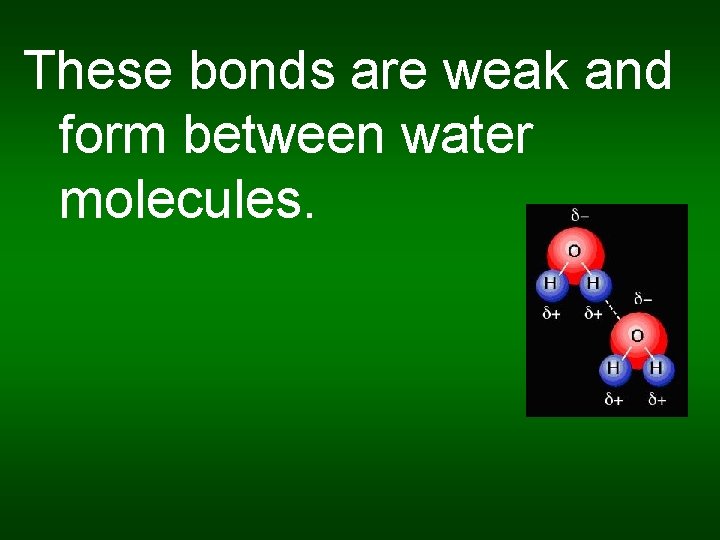These bonds are weak and form between water molecules. 